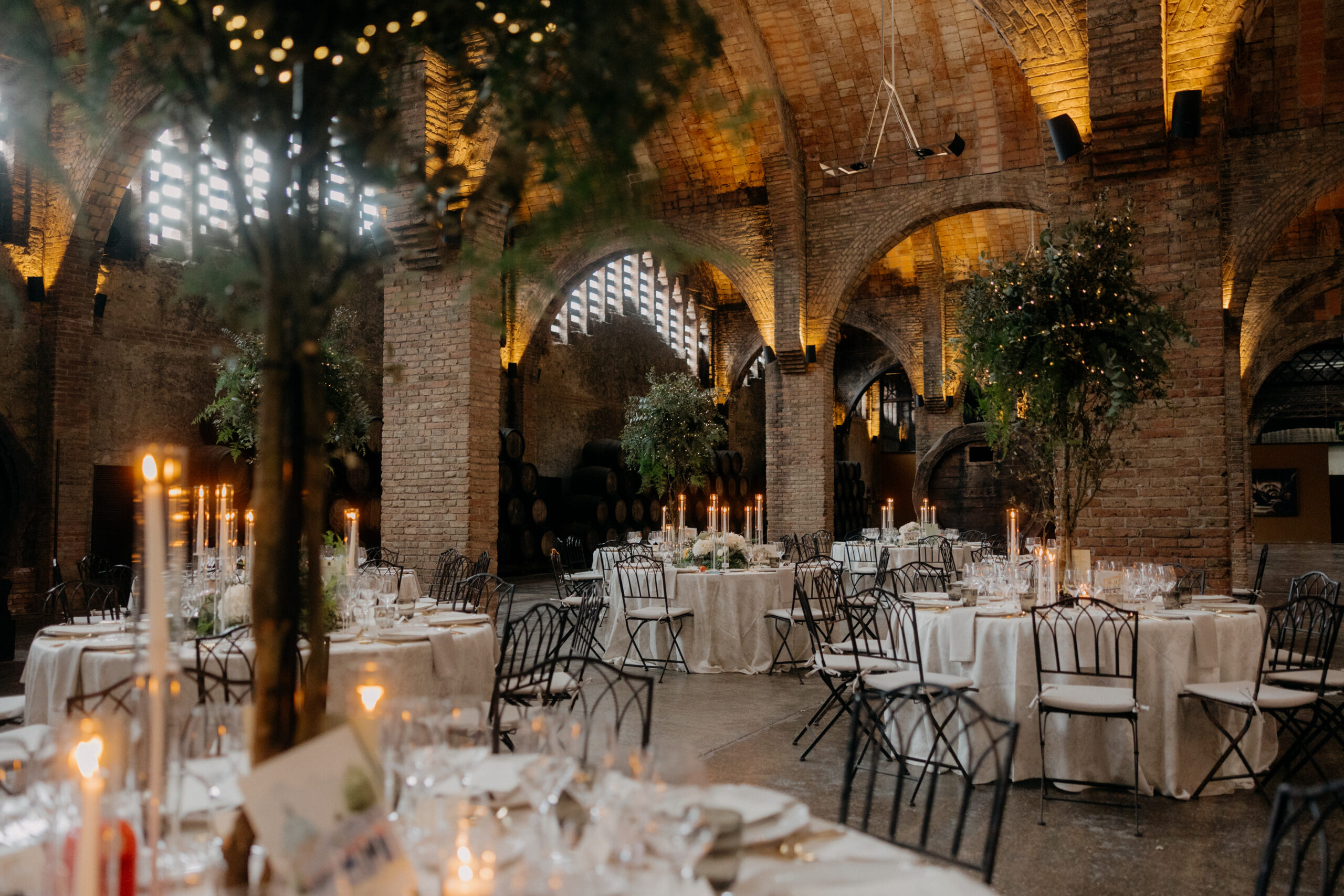 CARLA & COLM – VISUAL TALES-554