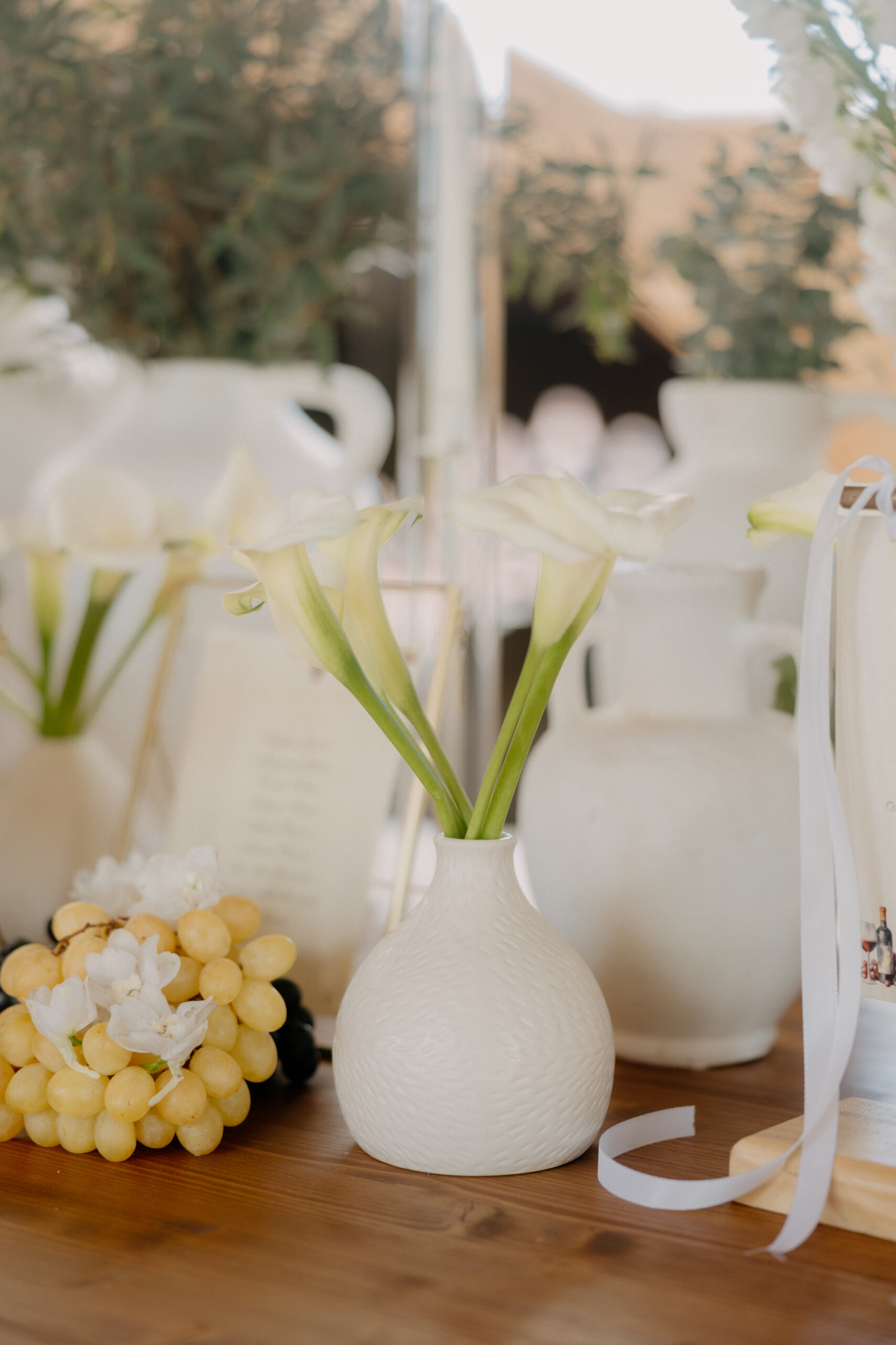 CARLA & COLM – VISUAL TALES-98