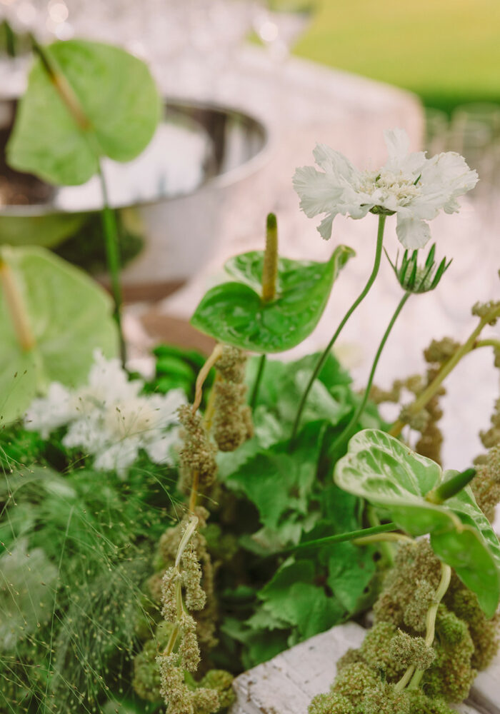 Caitlin & Gus | Sneak Peek