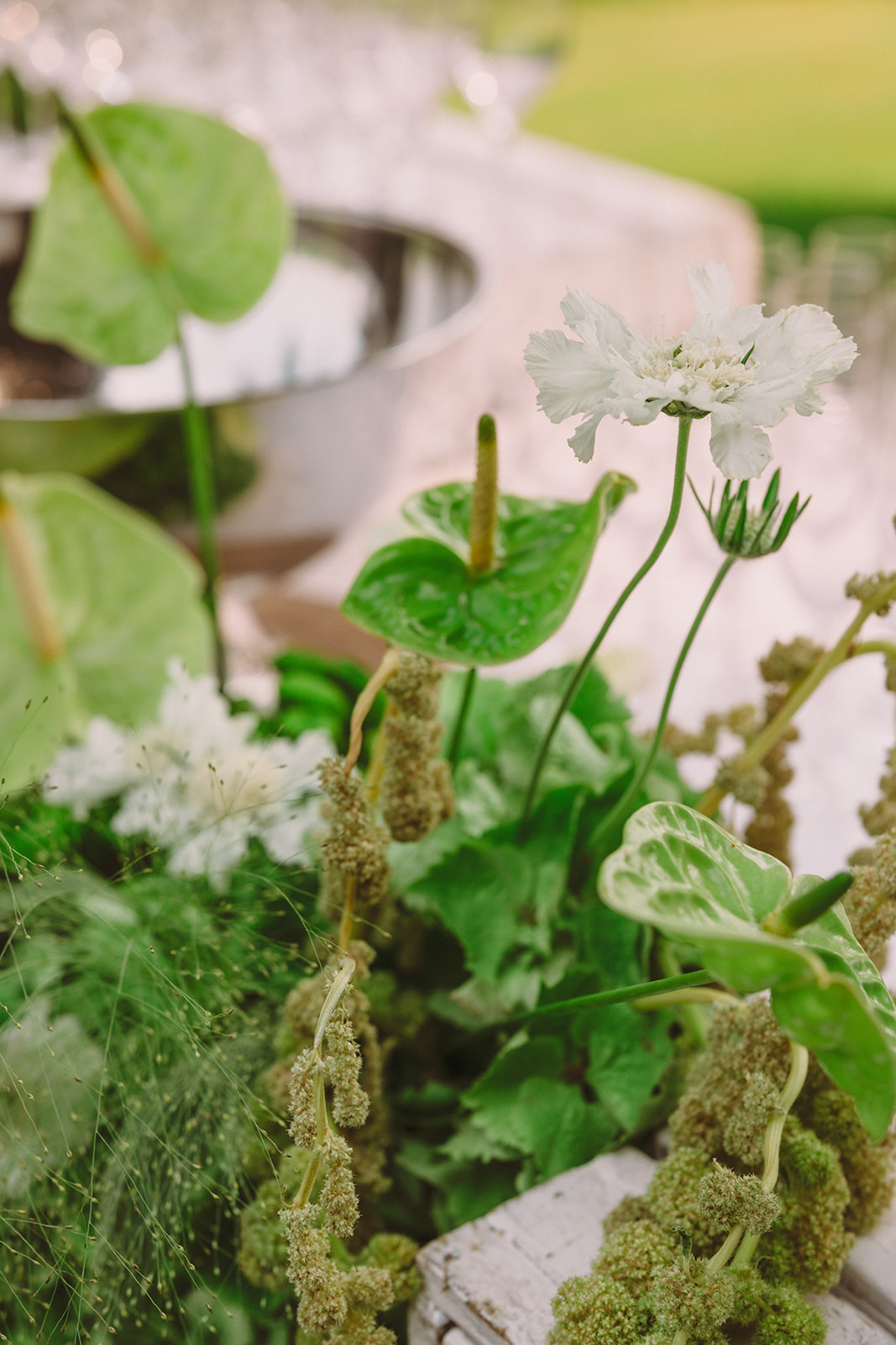 Caitlin & Gus | Sneak Peek