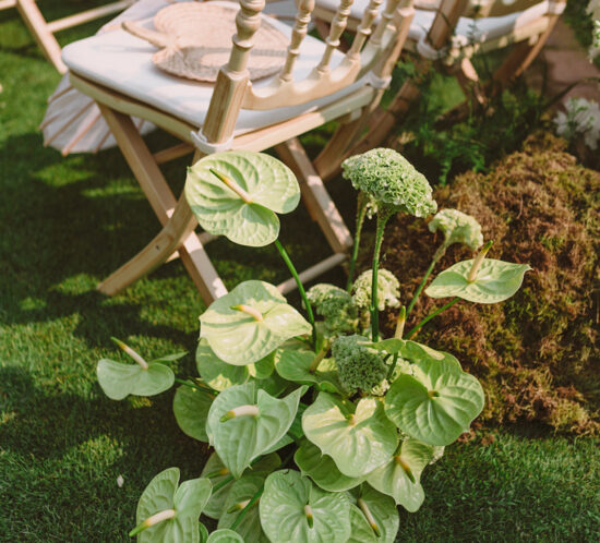 Caitlin & Gus | Sneak Peek