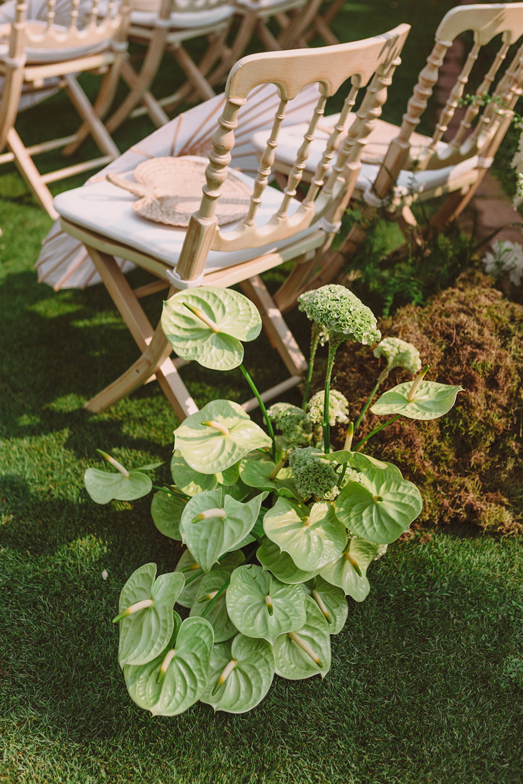 Caitlin & Gus | Sneak Peek