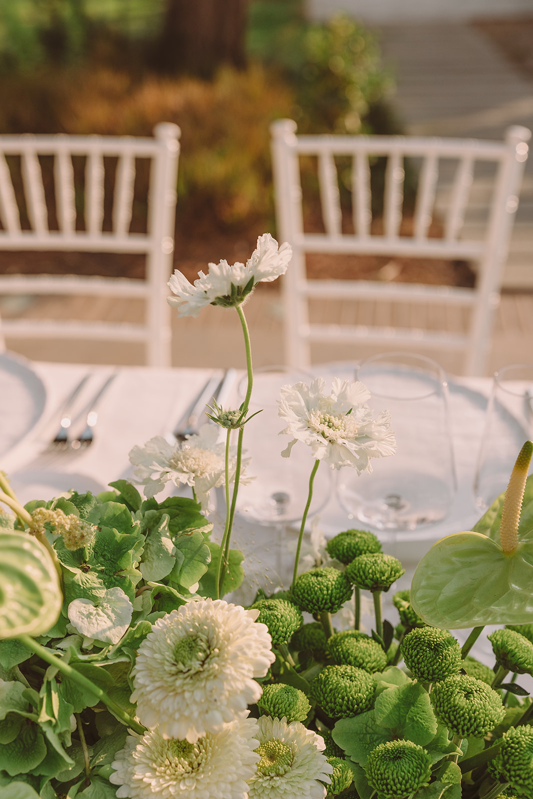 Caitlin & Gus | Sneak Peek